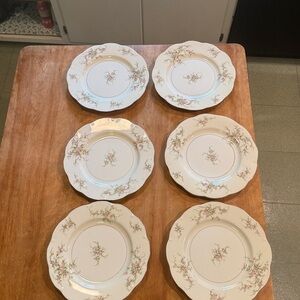 Haviland Floral Patterned Dinner Plates Set of 6